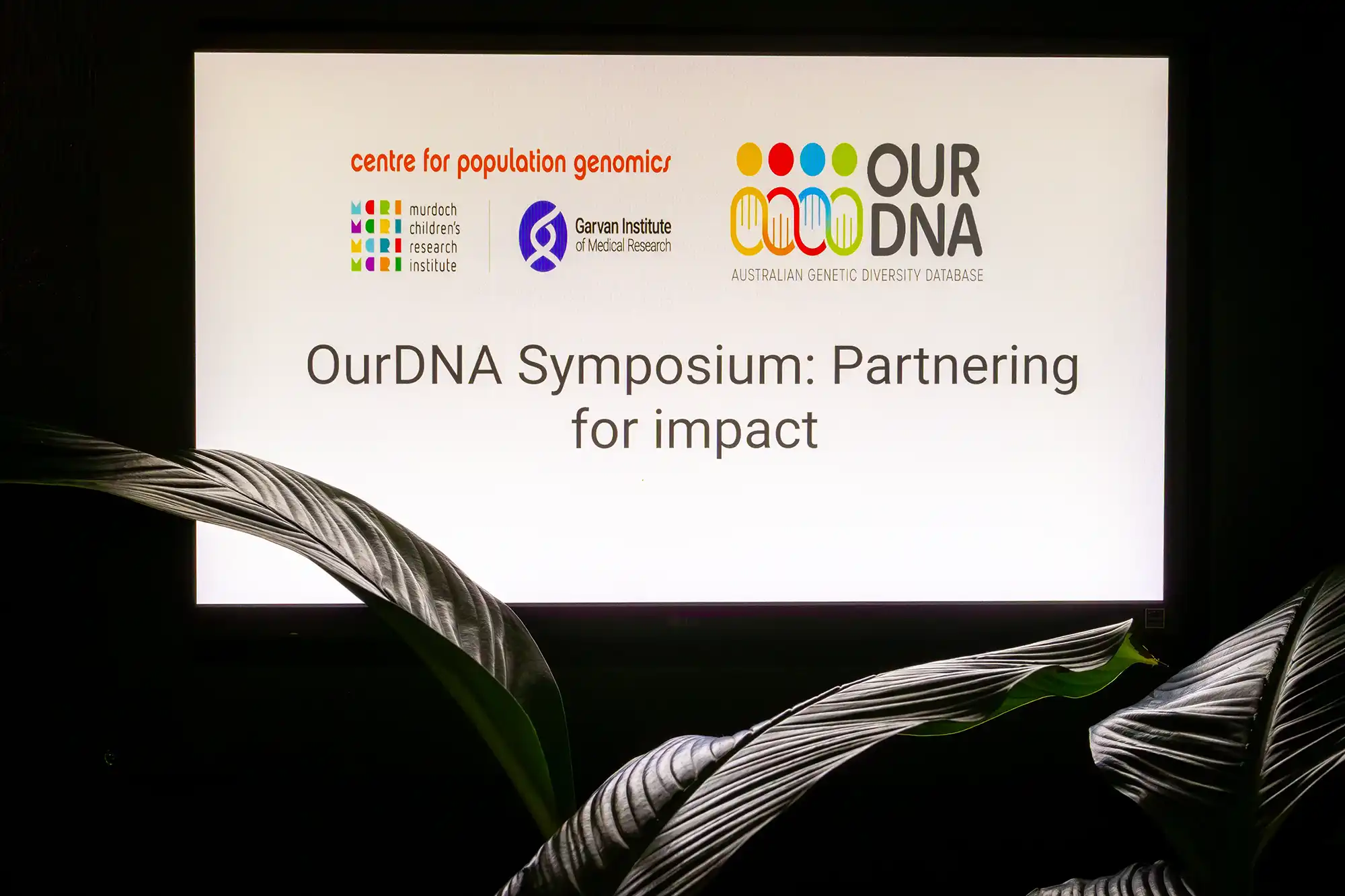 Corporate event photography